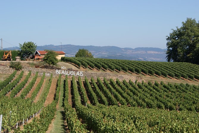 Beaujolais & Perouges Medieval Town (9:00 am to 5:15 pm - Small Group Tour Lyon - Leaving Lyon for Beaujolais country
