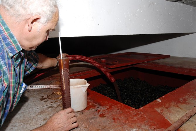 Beaujolais & Perouges Medieval Town (9:00 am to 5:15 pm - Small Group Tour Lyon - A family winery and Beaujolais tasting