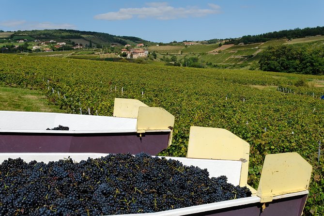 Beaujolais & Perouges Medieval Town (9:00 am to 5:15 pm - Small Group Tour Lyon - Arriving in Pérouges after the 45-minute drive