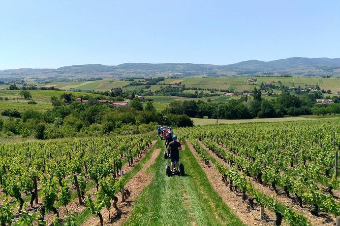 Beaujolais Segway Tour with Wine Tasting - Learning to Ride Before the Vineyards