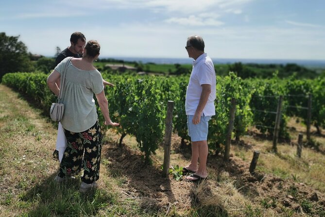 Beaujolais wine tour from Lyon half day - The guides make the difference