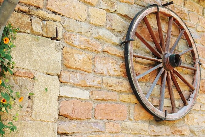 Beaujolais wine tour from Lyon half day - Who should book this Beaujolais tour?