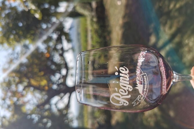Beaujolais wine tour from Lyon half day - Oingt and the Golden Stones area