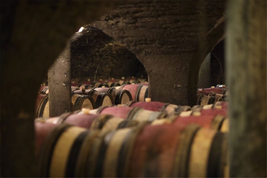 Beaune: Maison Champy Guided Cellar Tour with Wine Tasting - Terroir or Prestige: which tasting should you choose?