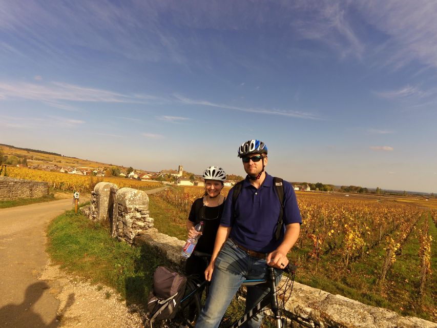 Beaune: Winery Tour by Bike with Wine Tasting - Starting beside Beaune’s Parc de la Bouzaize