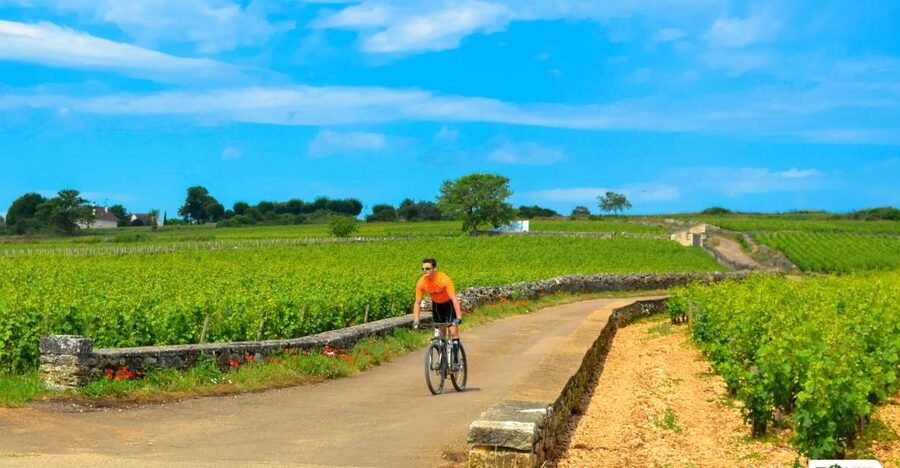 Beaune: Winery Tour by Bike with Wine Tasting - Pommard: Burgundy wine country begins