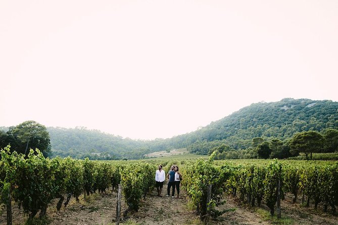 Bertrand Bosc wine and food tour in Pic St Loup - The second tasting near the Grand Pic Saint-Loup area