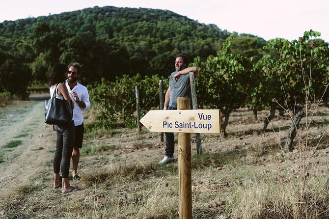 Bertrand Bosc wine and food tour in Pic St Loup - The Valflaunès road trip