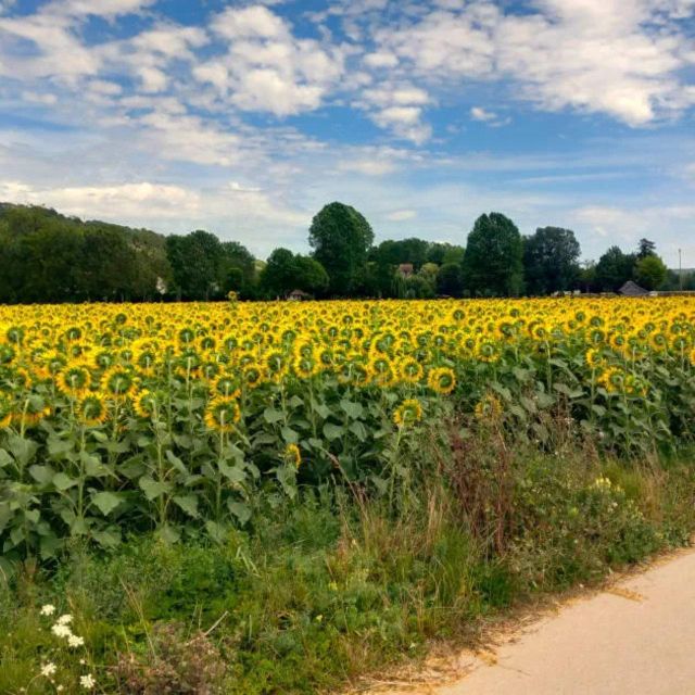 Bike tour from Vernon to Giverny with local guide - Monet’s garden tickets and the best way to avoid waiting