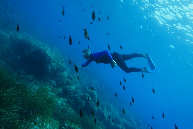 Boat trip and snorkeling in Villefranche - sur - Mer - Snorkeling near Cape Nice or Cape Ferrat