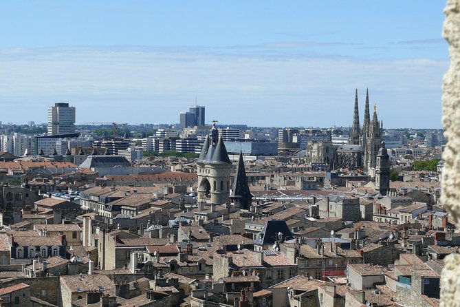 Bordeaux City Pass - Fine arts, contemporary art, and natural history