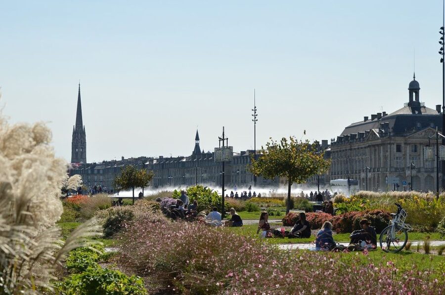 Bordeaux: Exclusive Private Guided Walking Tour - Wine Advice Without Leaving the City