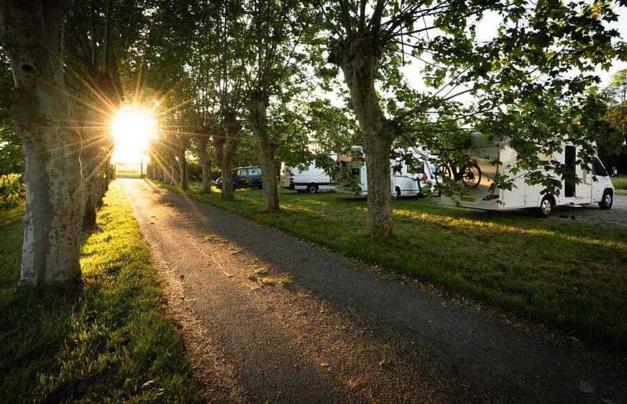 Bordeaux: Explore an Organic Family Vineyard with Tasting - Who should book this vineyard visit?