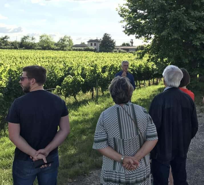 Bordeaux: Explore an Organic Family Vineyard with Tasting - Walk among the vines and see where flavor begins