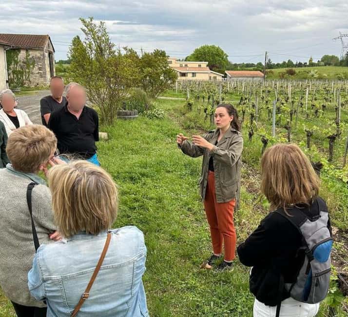 Bordeaux: Explore an Organic Family Vineyard with Tasting - Follow the grapes into the winemaking cellar