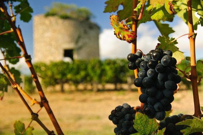 Bordeaux Full day Medoc and St Emilion 3 chateaux with Lunch - Key points to know before booking