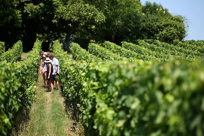 Bordeaux Full day Medoc and St Emilion 3 chateaux with Lunch - Margaux and a classified 1855 château