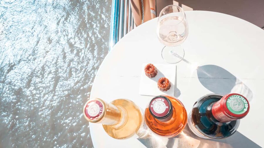 Bordeaux: Guided Wine and Canelé Discovery Cruise - Who will enjoy this Bordeaux cruise most?