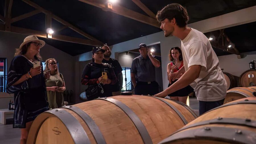 Bordeaux: Half-Day Margaux Tour with Wine Tastings - Why Margaux makes a smart first wine outing