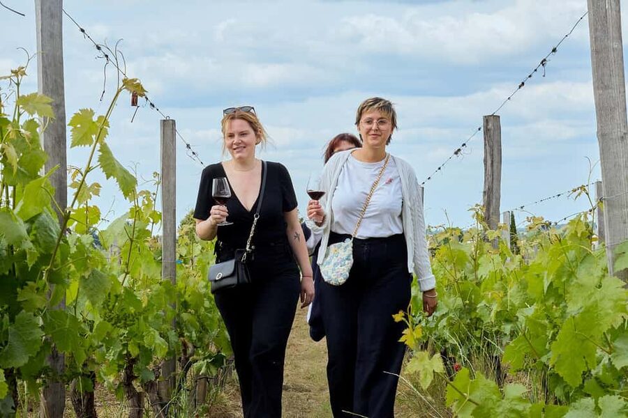 Bordeaux: Half-Day Margaux Tour with Wine Tastings - Is $106 a fair price?