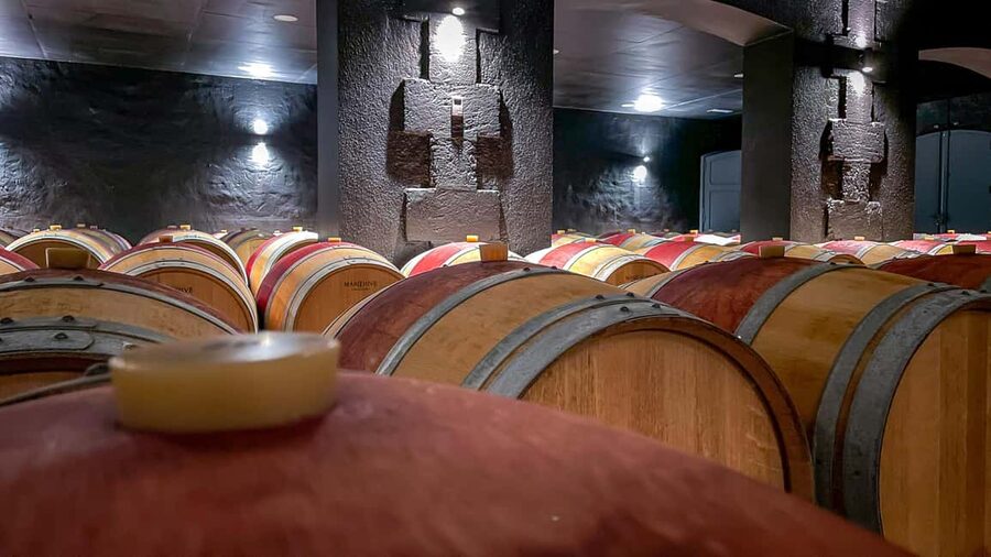 Bordeaux: Saint-Emilion and Medoc Full-Day Wine Experience - Why this Bordeaux wine tour is useful for first-time visitors