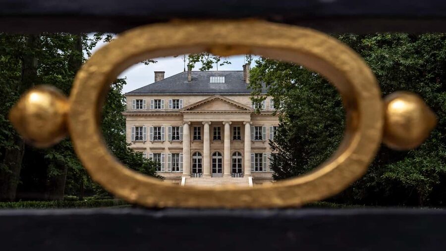 Bordeaux: Saint-Emilion and Medoc Full-Day Wine Experience - Eight wines, one lunch glass, and what the tasting feels like