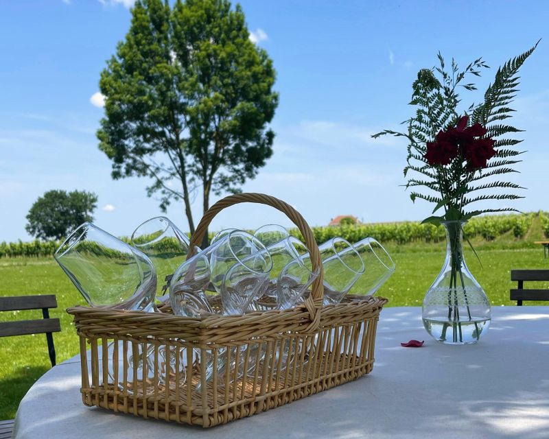 Bordeaux: Saint-Emilion Village Day Trip, 2 Chateaux & Lunch - Tasting at the first château