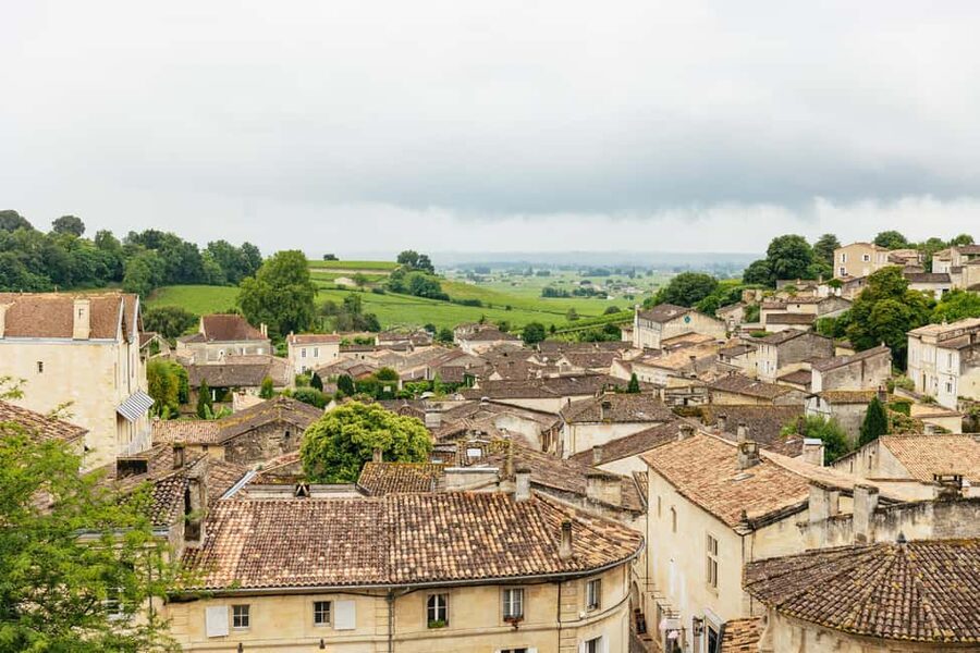 Bordeaux: St. Emilion Day Trip with Wine Tasting and Lunch - A French picnic beside the vines