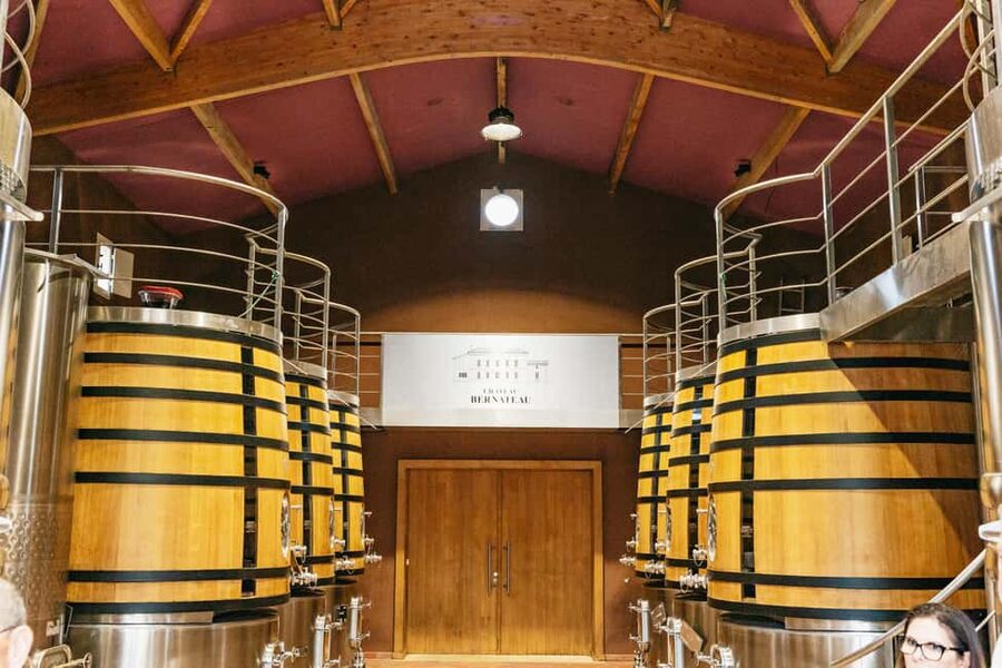 Bordeaux: St. Emilion Day Trip with Wine Tasting and Lunch - What to bring and how to prepare