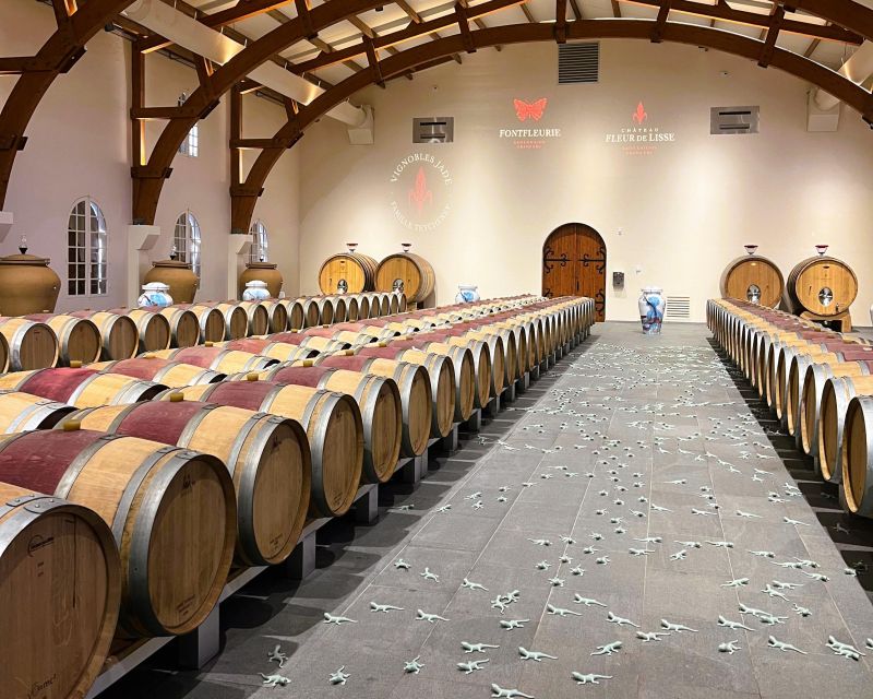 Bordeaux: St-Emilion Vineyards e-Bike Tour with Wine & Lunch - The second château and the path from vine to bottle