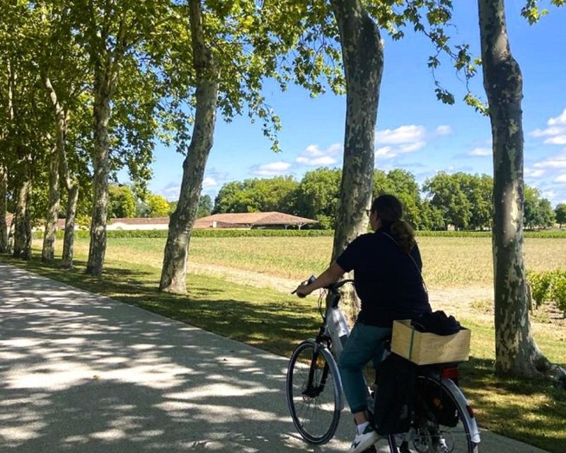 Bordeaux: St-Emilion Vineyards e-Bike Tour with Wine & Lunch - Saint-Émilion village after the vineyards