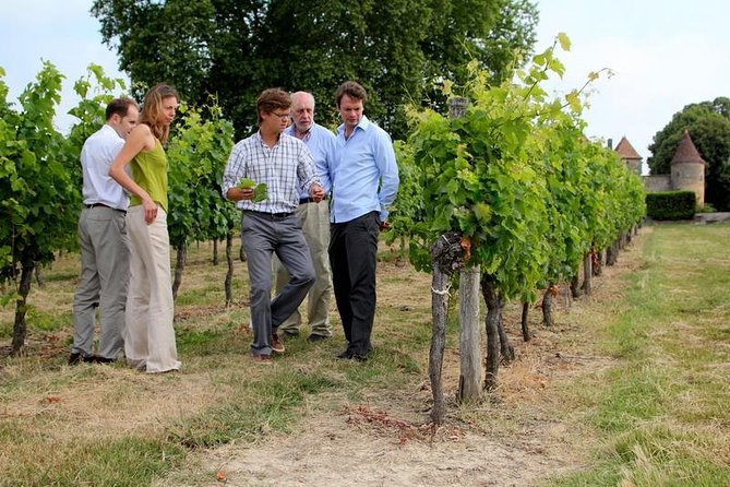 Bordeaux Super Saver Wine Tasting class and St Emilion region - Who should book this seven-and-a-half-hour day