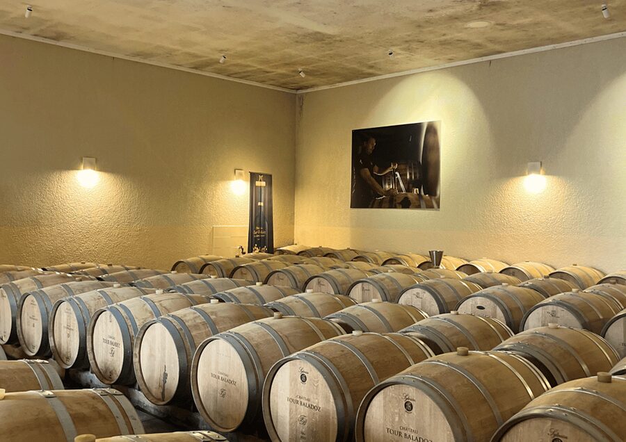 Bordeaux : Unforgettable Saint Emilion Half Day Wine Tour - Key points at a glance