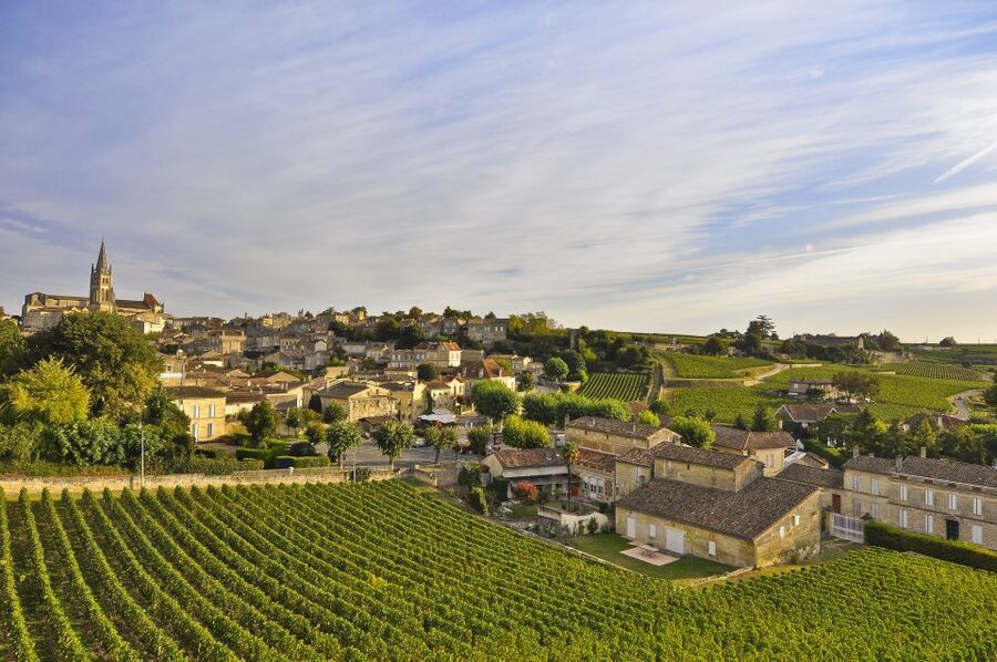 Bordeaux: Vineyards Wine Tasting Half-Day Trip - Médoc: two estates and famous appellations
