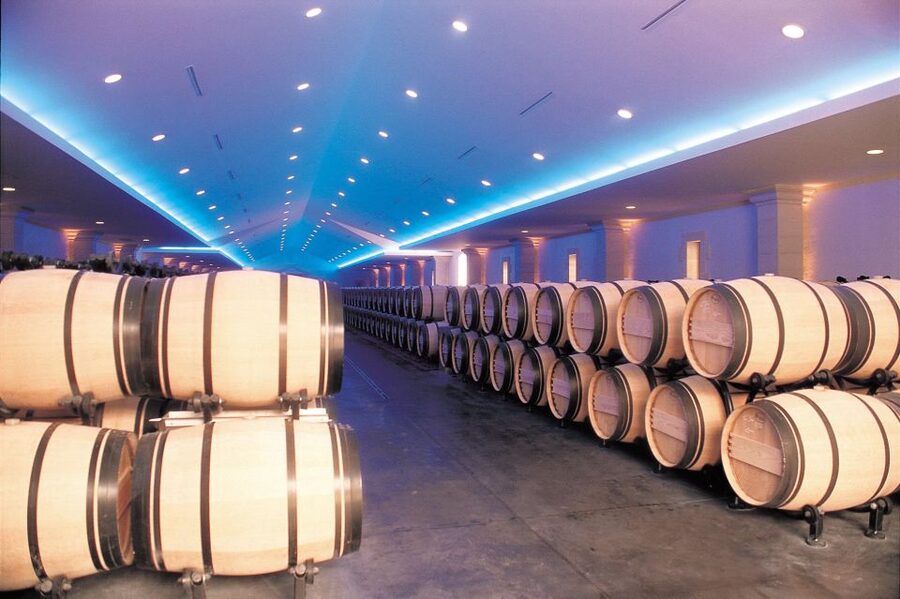 Bordeaux: Vineyards Wine Tasting Half-Day Trip - Blaye and Bourg: wine with a fortress visit