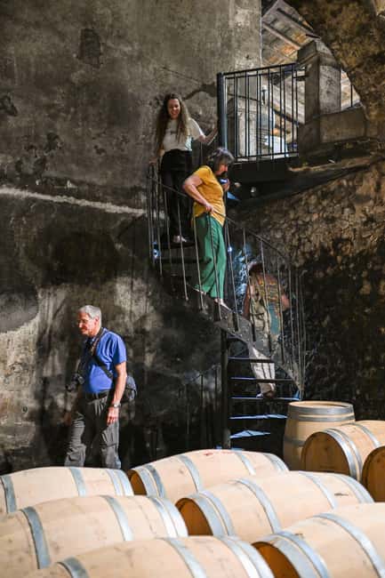 Bordeaux: Vineyards Wine Tasting Half-Day Trip - The wine education is useful, but not a master class