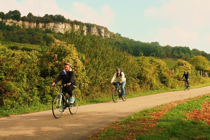 Burgundy Bike Tour with Wine Tasting from Beaune - Standard bike or e-bike?