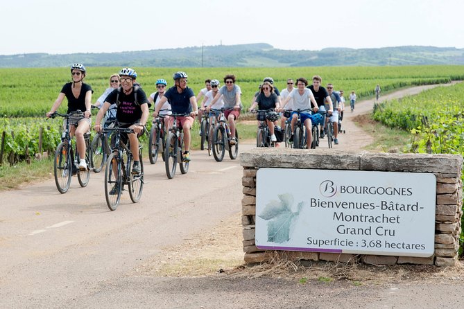 Burgundy Bike Tour with Wine Tasting from Beaune - Domaine Famille Picard and the first tasting
