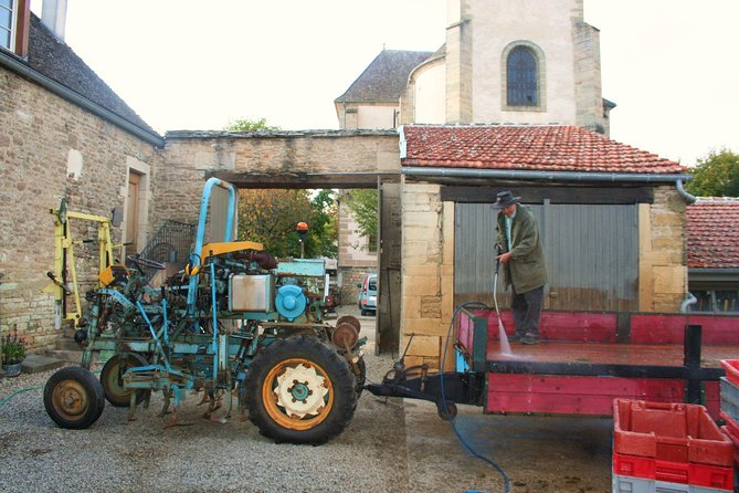 Burgundy Bike Tour with Wine Tasting from Beaune - Lunch near Puligny-Montrachet