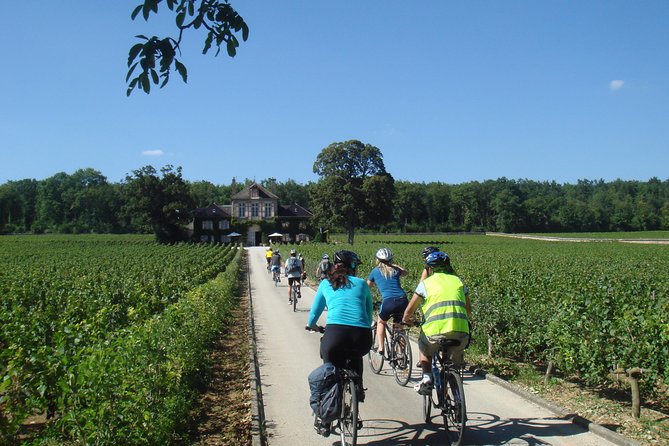 Burgundy Bike Tour with Wine Tasting from Beaune - The afternoon ride toward Pommard, Volnay, or Meursault