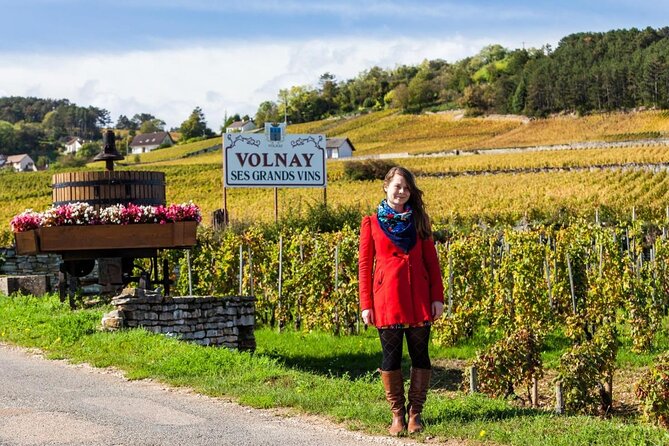 Burgundy Grand Crus Route Day Tour - 14 Wines Tastings in Domains - Six things to know before booking