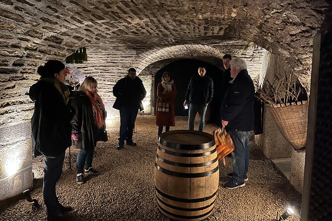 Burgundy Grand Crus Route Day Tour - 14 Wines Tastings in Domains - A small group with a personal feel