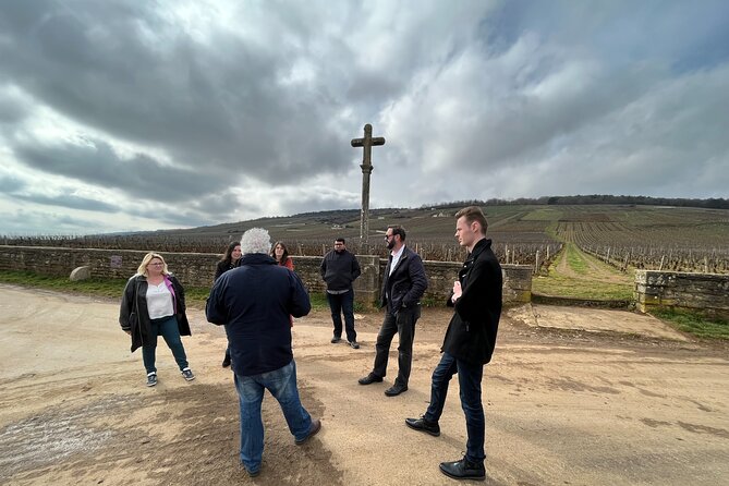 Burgundy Grand Crus Route Day Tour - 14 Wines Tastings in Domains - What you will taste