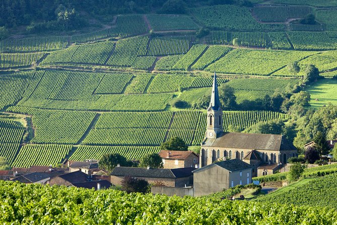 Burgundy Wine Tasting Small-Group Tour in Chablis from Paris - Chablis: a compact lunch stop with real Burgundy character