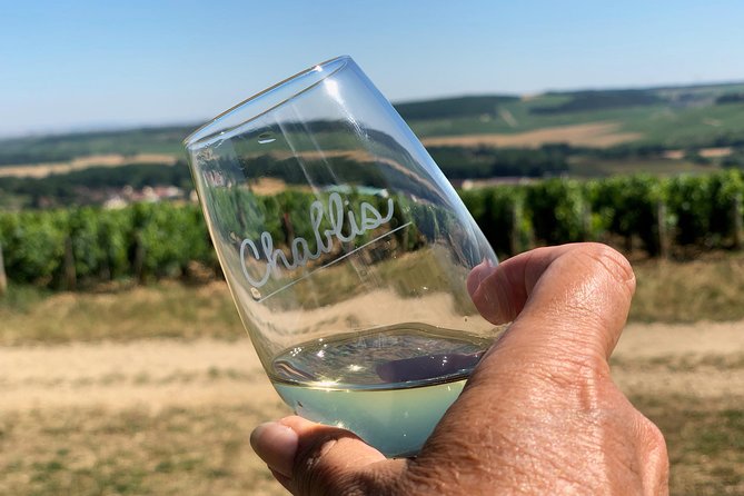 Burgundy Wine Tasting Small-Group Tour in Chablis from Paris - Domaine Bersan offers old cellars and more red wine