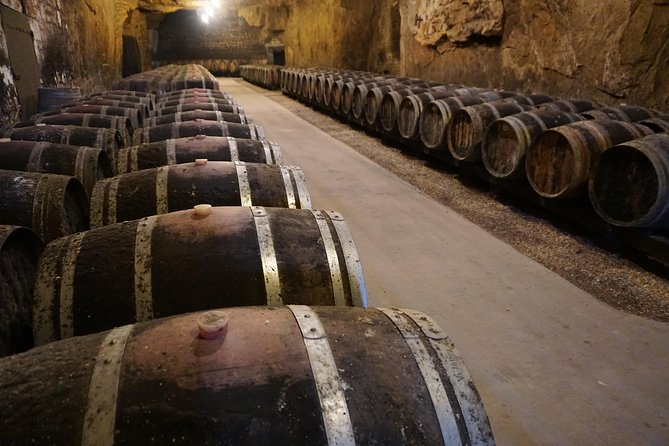 Burgundy Wine Tasting Small-Group Tour in Chablis from Paris - The guides can make or break the long day