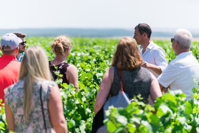 Burgundy Wine Tasting Small-Group Tour in Chablis from Paris - Auxerre Cathedral gives the drive a medieval landmark