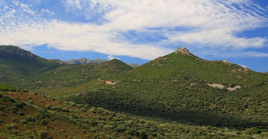 Calvi: Asco Valley 4x4 Day Tour with Guide - Key Points to Know Before You Go