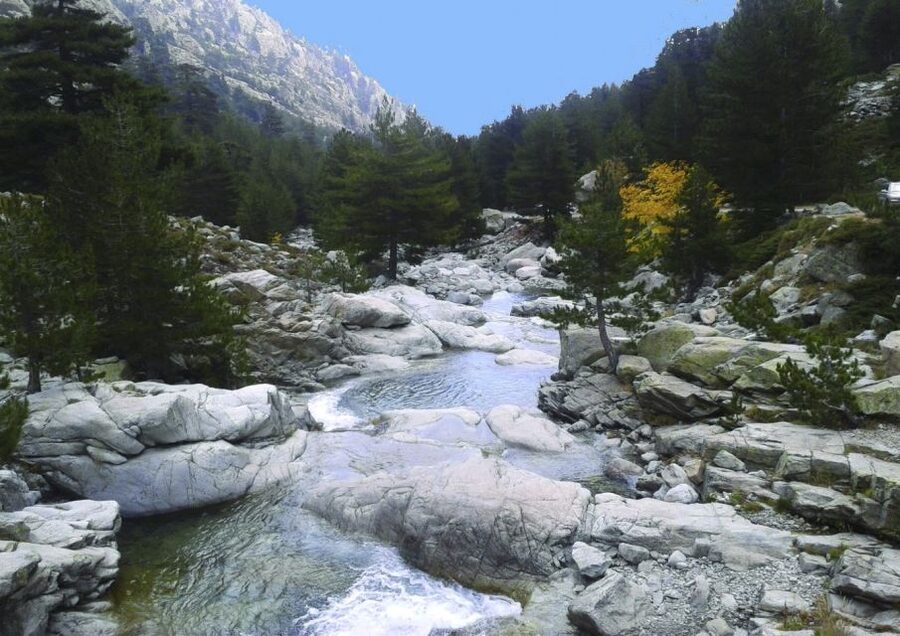 Calvi: Asco Valley 4x4 Day Tour with Guide - Two Hours Beside the Asco River