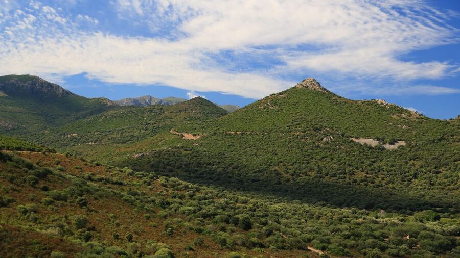 Calvi: Asco Valley 4x4 Day Tour with Guide - Should You Book the Asco Valley 4x4 Tour?